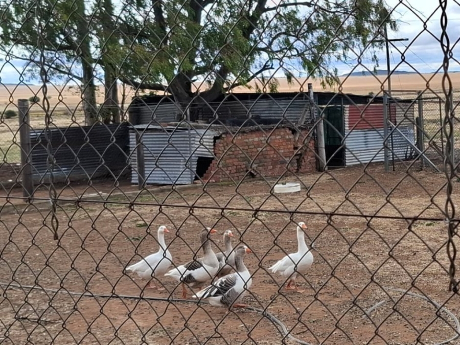 4 Bedroom Property for Sale in Bloemfontein Rural Free State